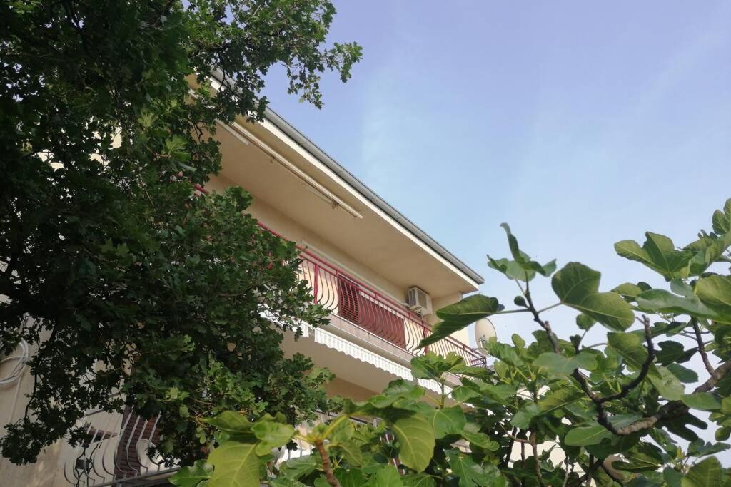 Spacious 2-Room Apartment With Beautiful Sea View تْسْغيكفانِتْسا المظهر الخارجي الصورة